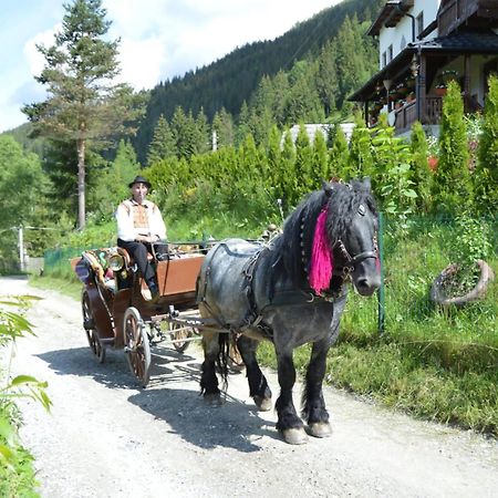 Willa Casa Aureliana Ciocanesti Zewnętrze zdjęcie