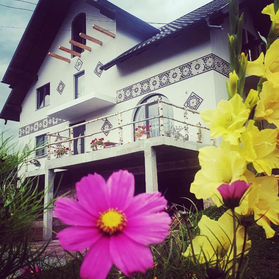 Willa Casa Aureliana Ciocanesti Zewnętrze zdjęcie